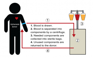what is apheresis definition