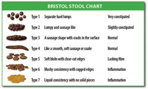 Stool Chart Free Download - Thrombocytes